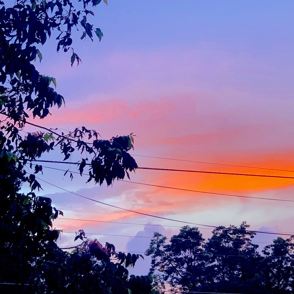 Meet your Posher, Carmelita